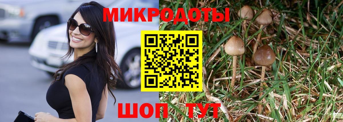 Псилоцибиновые грибы мицелий  Вход с VPN  Хасавюрт 