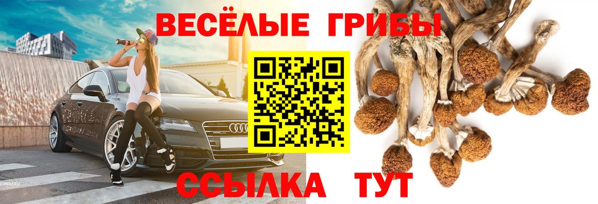 Галлюциногенные грибы мухоморы Хасавюрт